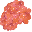パレベリー